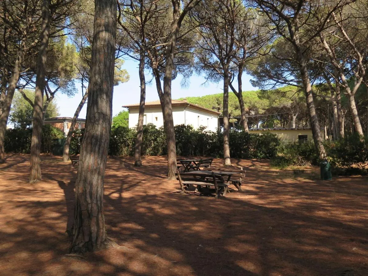 Apartment Palazzeta Iii-3 By Interhome Vada